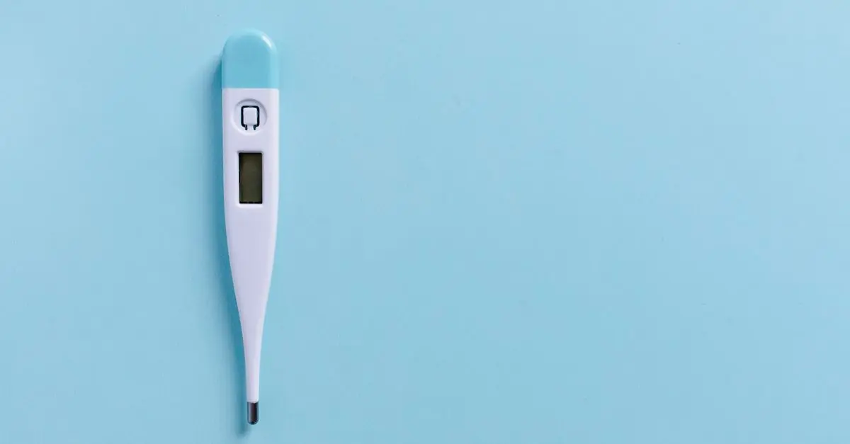 Meilleurs thermomètres électroniques pour 2026